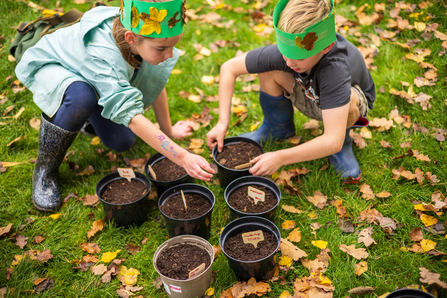 Two children planting seeds in plant pots, they are surrounded by grass and autumn leaves