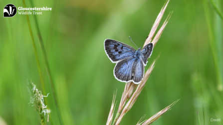 Large blue wallpaper