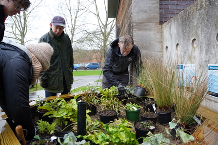 Gloucester Royal Hospital Rain Garden