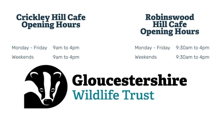 Opening Times