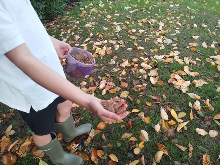 Naunton Park seed sowing