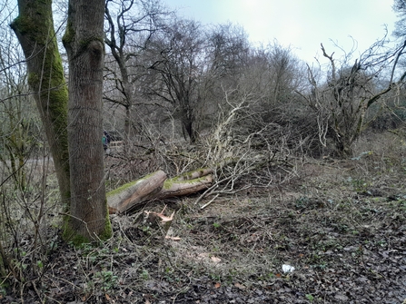 Leaky dams at Robinswood Hill Country Park