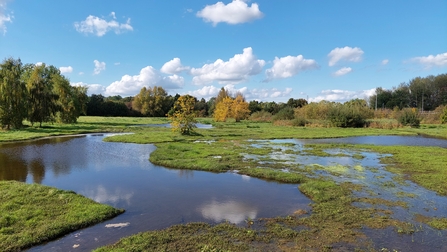Wetland creation at Plock Court 