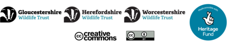 Gloucestershire, Herefordshire, Worcestershire Wildlife Trusts, Heritage Fund, Creative Commons logos