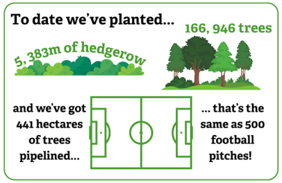To date we've planted 166,946 trees, 5,383m of hedgerow, and we've got 441 hectares of trees pipelined