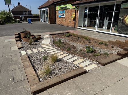 A sunken rain garden outside a co-operative shop, with a walkway through the plants
