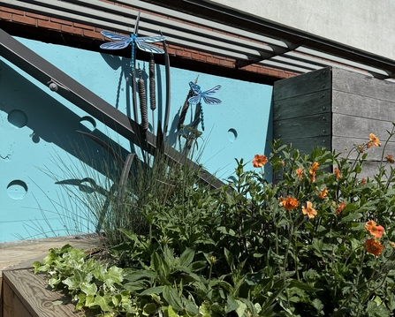 Rain garden planter with dragonfly features