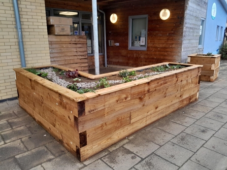 planter rain garden