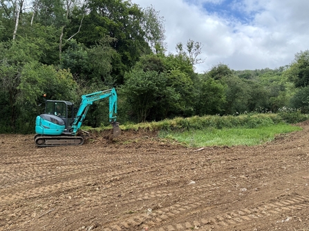 Trillis Wetland Restoration