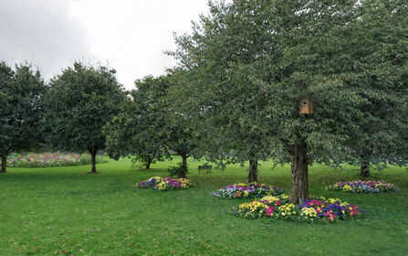 Abbeydale Green Space 1.1 render copy