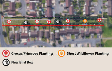 Pathway site map copy
