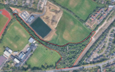 Blackbridge wood map