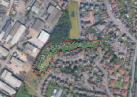 Milton Ave pond map