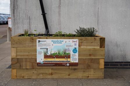 Rain garden - Gloucester road