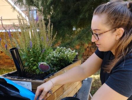 Supporter development officer Tabitha installs rain garden, flowers and drain pipe in background.