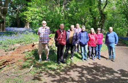 A group of people in a woodland with a path in front of them and bluebells and trees behind