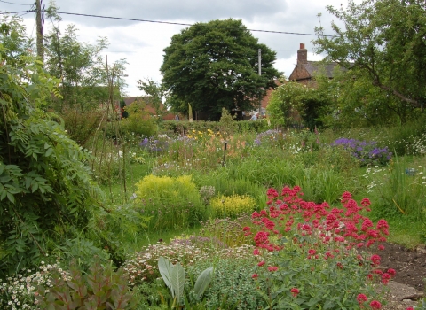 Wildlife garden (C) Helen Freeston