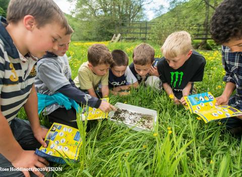 Children pond dipping identification (C) Ross Hoddinott