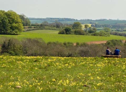 The Cotswold Landscape (C) Ian Boyd