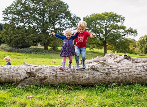 Children on log