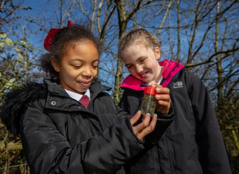 Habitats lesson