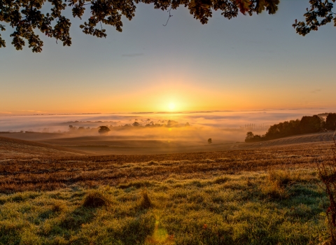 Farmland