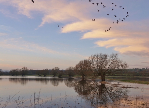 Coombe Hill (c) Susan Cook