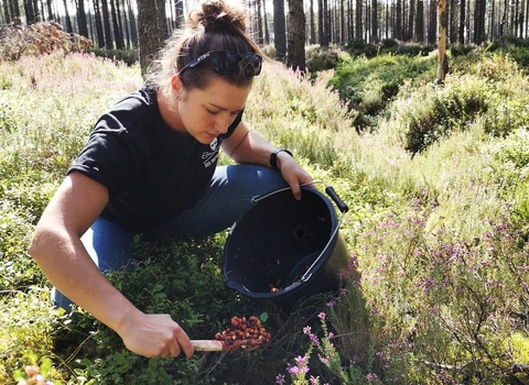 Cat putting out sticky mix to attract pine martens