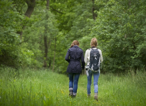 Two people walking in the countryside away from the camera
