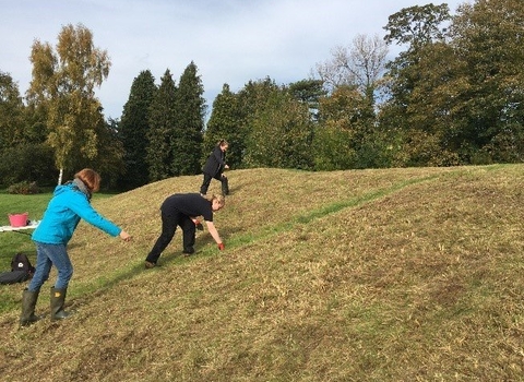 ERDF FWAG abbey grounds