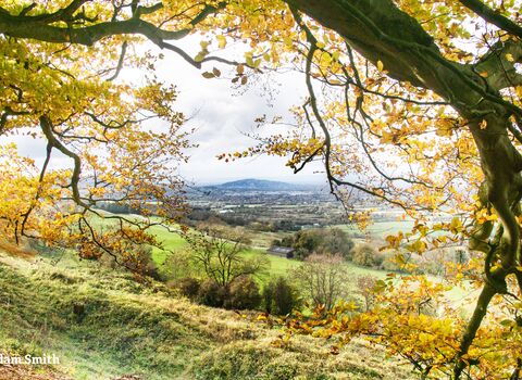 Adam Smith - Crickley Hill.jpg