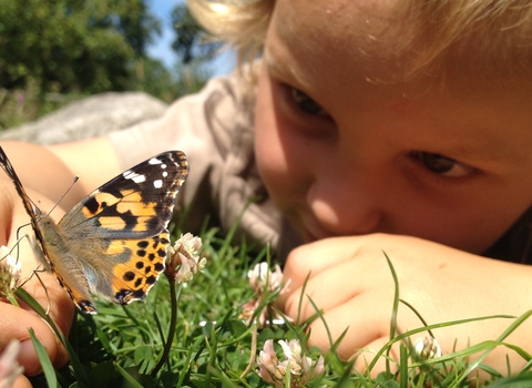 Child and butterfly (c) Hugo Whately
