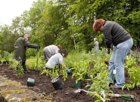 Planting wildlife friendly plants - Katrina Martin / 2020VISION