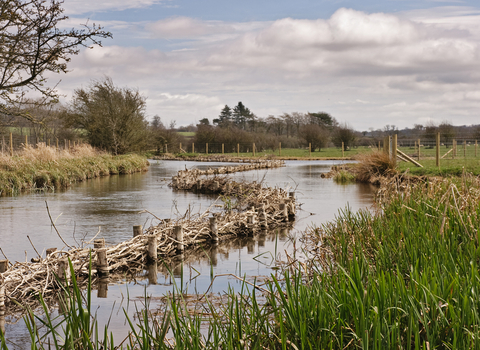 Green revetment