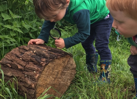 Child is looking at log with magnifying glass
