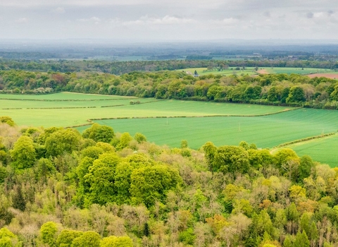 Ariel view over Gloucestershire woods and fields