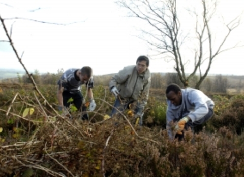 Volunteer9 (c) The Wildlife Trusts.jpg 