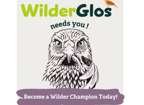 Animation of golden eagle pointing at viewer, Wilder gLos needs you written above, Become a Wilder Champion Today reads below