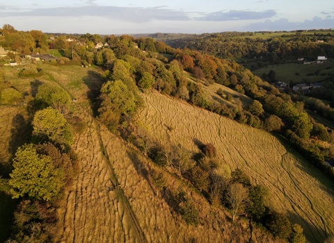 Aerial view of Blackness Banks