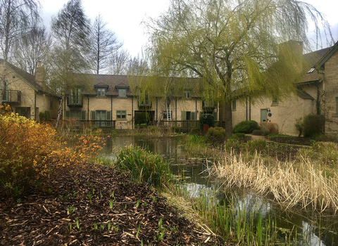 Building surrounded by pond