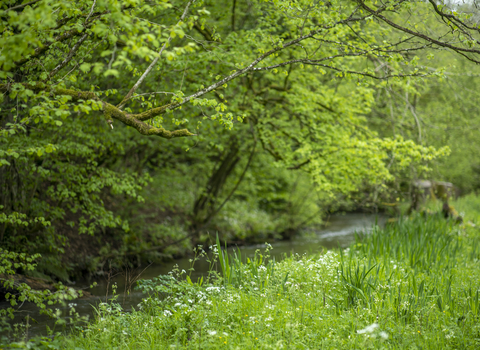 Sapperton Valley (c) Nick Turner