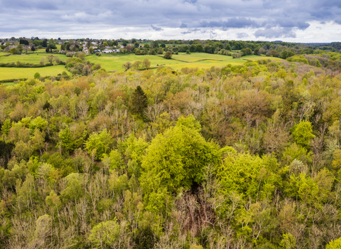 An aerial view of Siccaridge Wood and the wider golden valley (c) Nick Turner