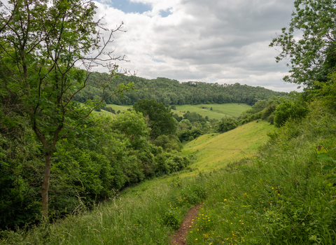 A view of the valley from Snows Farm 