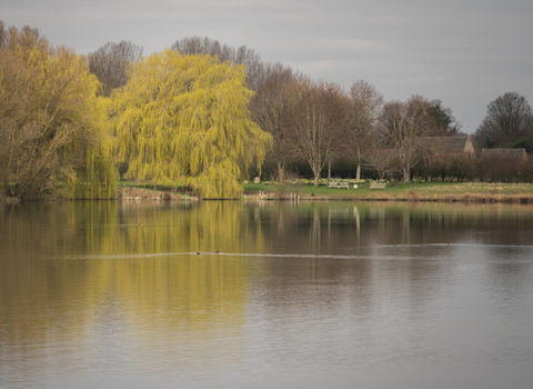 View across Roundhouse lake