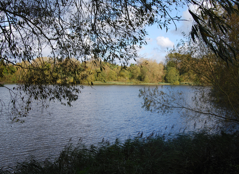 Whelford Lake view From Bird Hide