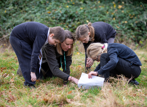 Children search for bugs in the grass