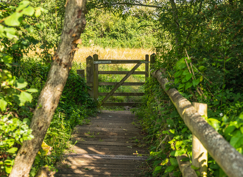 Woodland trail leading to a gate at Greystones Farm