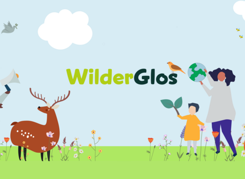 WilderGlos_GWT