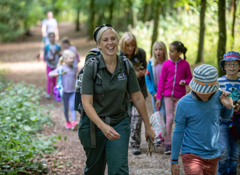 A group of children walking through a woodland 