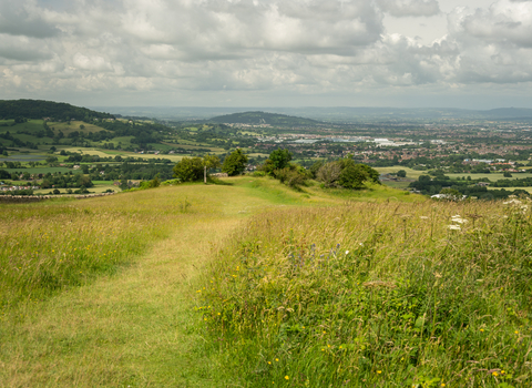 The view and mown path at Crickley Hill